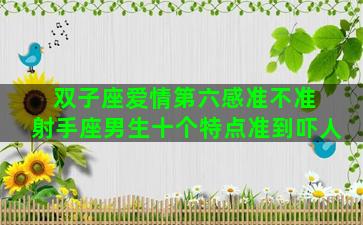 双子座爱情第六感准不准 射手座男生十个特点准到吓人